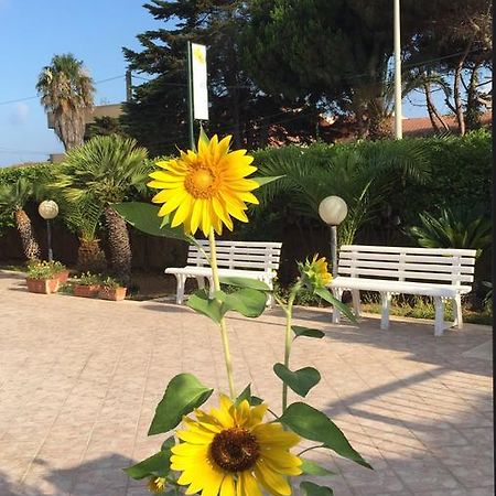 B&B Fiori Gialli Caucana 산타크로체카메리나 외부 사진